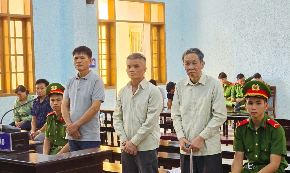HĐXX TAND tỉnh Gia Lai tuyên y án sơ thẩm đối với 3 bị cáo về tội hủy hoại rừng liên quan dự án trồng 859 ha rừng rừng tại Gia Lai.