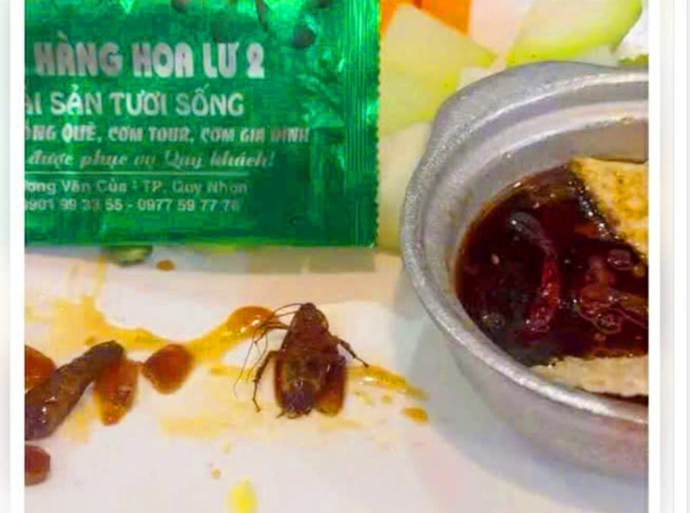 Sở Y tế tỉnh Gia Lai đã xử phạt 12 triệu đồng đối với nhà hàng Hoa Lư 2 (phường Quy Nhơn Nam) do vi phạm an toàn thực phẩm