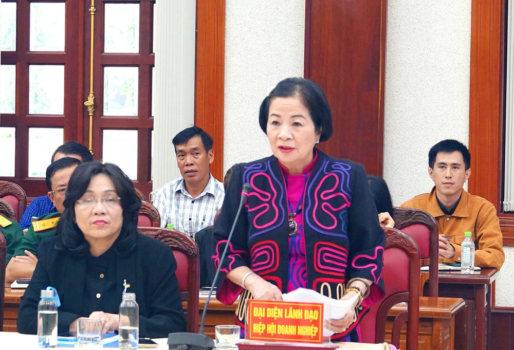Bà Nguyễn Thị Sen, Chủ tịch Hiệp hội Doanh nghiệp tỉnh Gia Lai, kiến nghị tháo gỡ vướng mắc cho doanh nghiệp.