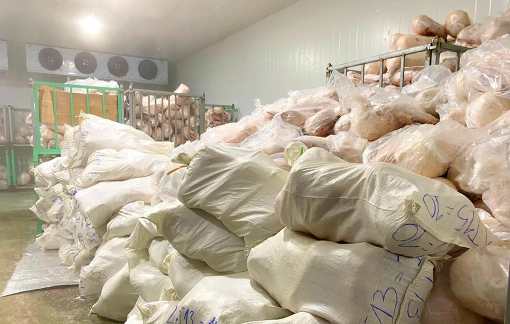 Lực lượng chức năng tỉnh Gia Lai đã tiêu hủy hơn 100 tấn heo sữa không rõ nguồn gốc, nổi đốm, bốc mùi hôi.