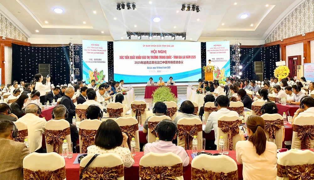 Thị trường Trung Quốc rất ưa chuộng nhiều mặt hàng nông sản vùng đất đất đỏ Bazan ở Gia Lai như sầu riêng, chanh dây, dưa hấu... Dự báo, đến năm 2023, xuất khẩu chanh dây đạt 200.000 tấn.