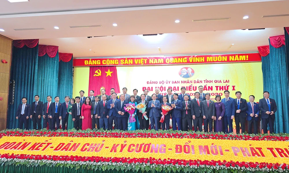 Dai-hoi-Dang-bo-tinh-Gia-Lai-lan-thu-I-4.jpg