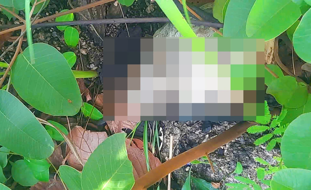 Ba người dân lên núi hái nấm, hoảng hốt phát hiện bộ xương người đang phân hủy trên núi Chư A Thai, tỉnh Gia Lai.