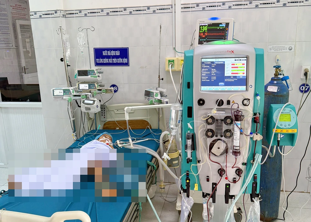 3 trẻ ở gia lai bị ong vò vẽ đốt