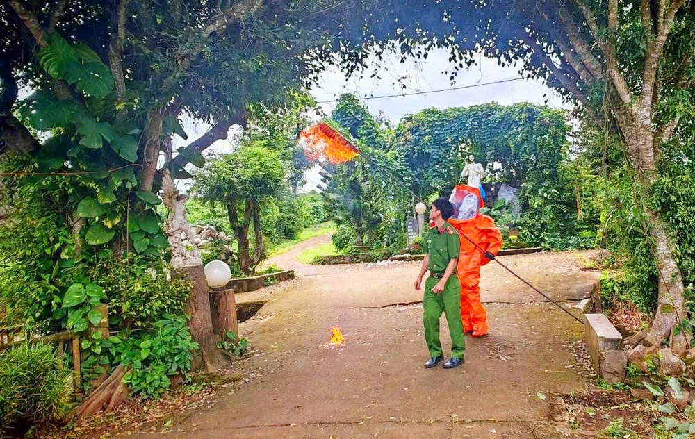 Lực lượng công an tỉnh Gia Lai đã nhanh chóng phá bỏ tổ ong vò vẽ nguy hiểm sau sự cố ba cháu nhỏ ở mái ấm Thiên Ân bị đốt thương vong.