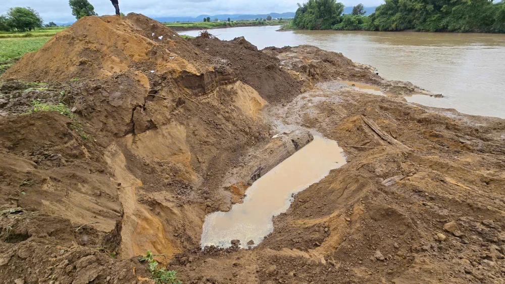 Sở Nông nghiệp và Môi trường tỉnh Gia Lai giao Chi cục Kiểm lâm, Chi cục Thủy lợi làm rõ vụ việc đào bới bờ sông Ayun để khai thác gỗ lạ.