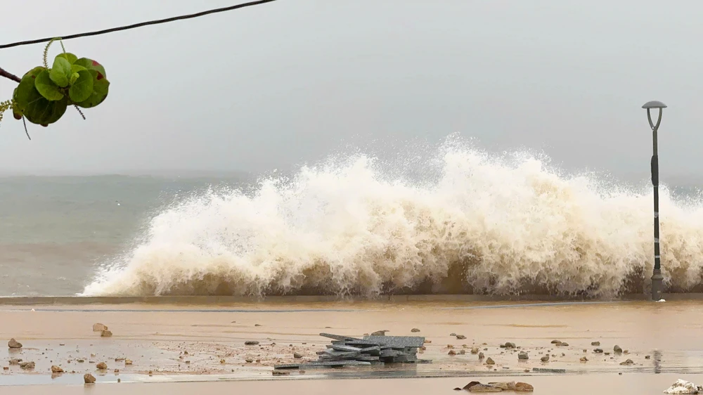 Trước thời điểm bão số 13 đổ bộ vào đất liền, khu vực tâm bão ở Gia Lai bước đầu ghi nhận gió mạnh cấp 9-10, quật ngã nhiều cây xanh và hệ thống đèn điện.