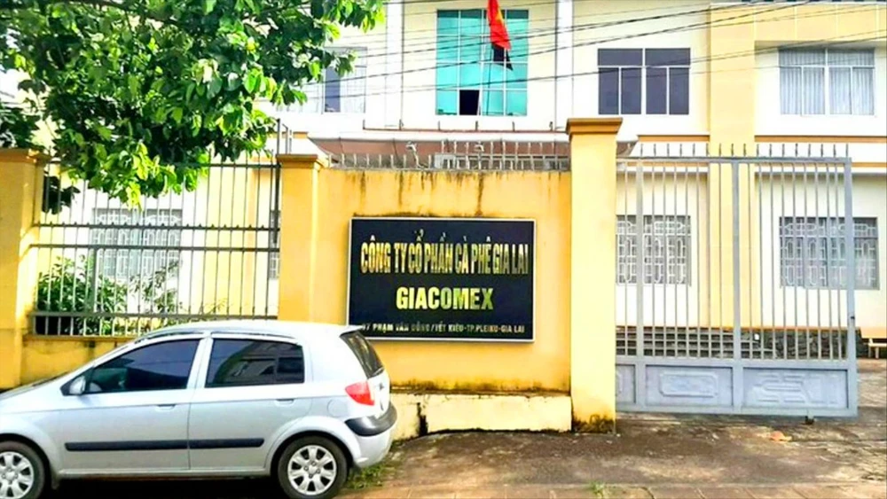Cong -ty-Co-phan-ca-phe-gia-lai 1.jpg
