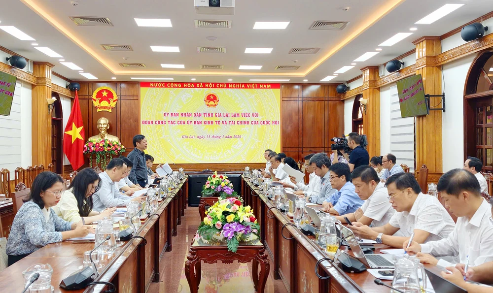 Gia-Lai-tang-truong-hai-con-so-2.jpg