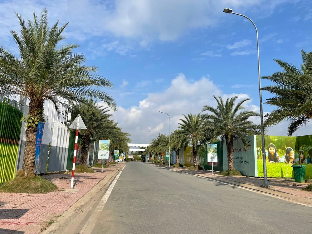 Tuyến đường chính trong dự án. Ảnh VIỆT HOA