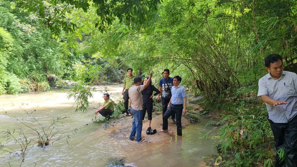 Sông suối trong rừng tại vị trí làm dự án. Ảnh VT Sông suối trong rừng tại vị trí làm dự án. Ảnh VT