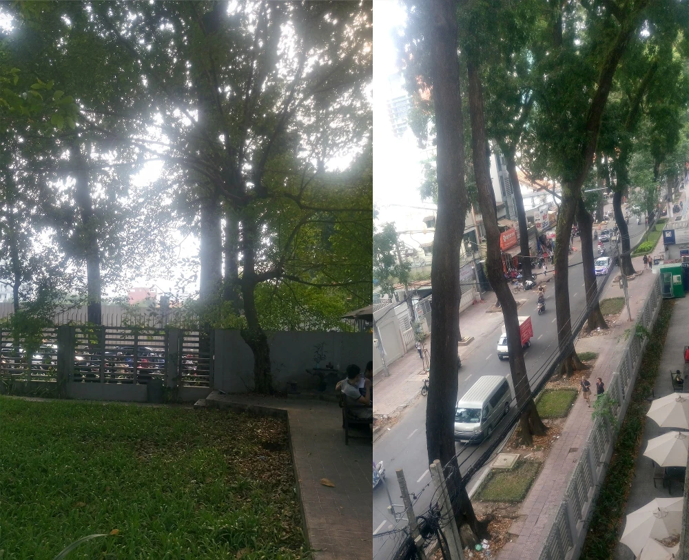 Đột kích 'cái nôi xanh' của nghệ thuật kiến trúc TP.HCM ảnh 12