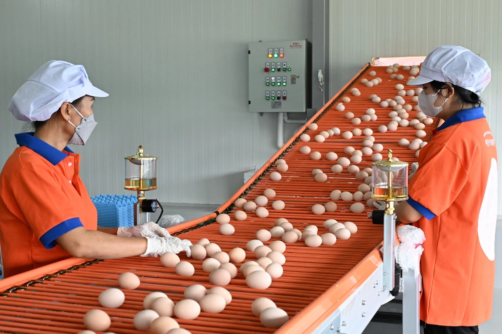 p10 -11 trung-ga-mebi-farm5.jpg