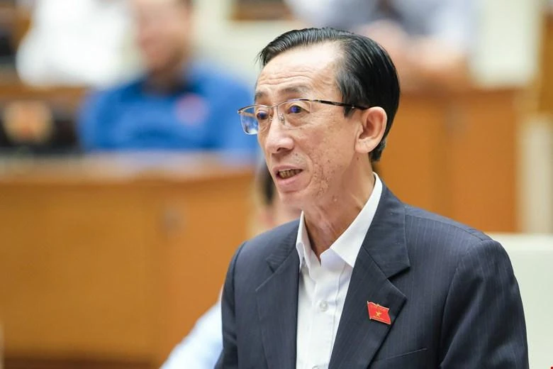 ĐB Trần Hoàng Ngân, TP.HCM.