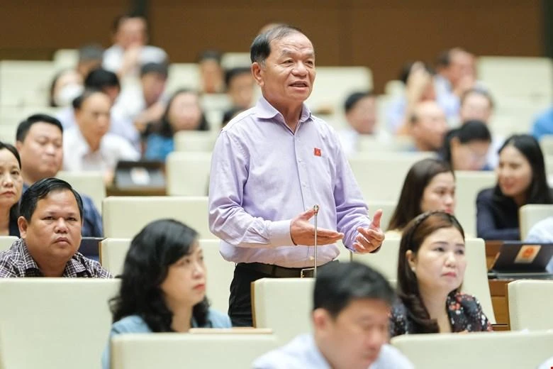 ĐB Lê Thanh Vân (Cà Mau). Ảnh: QH