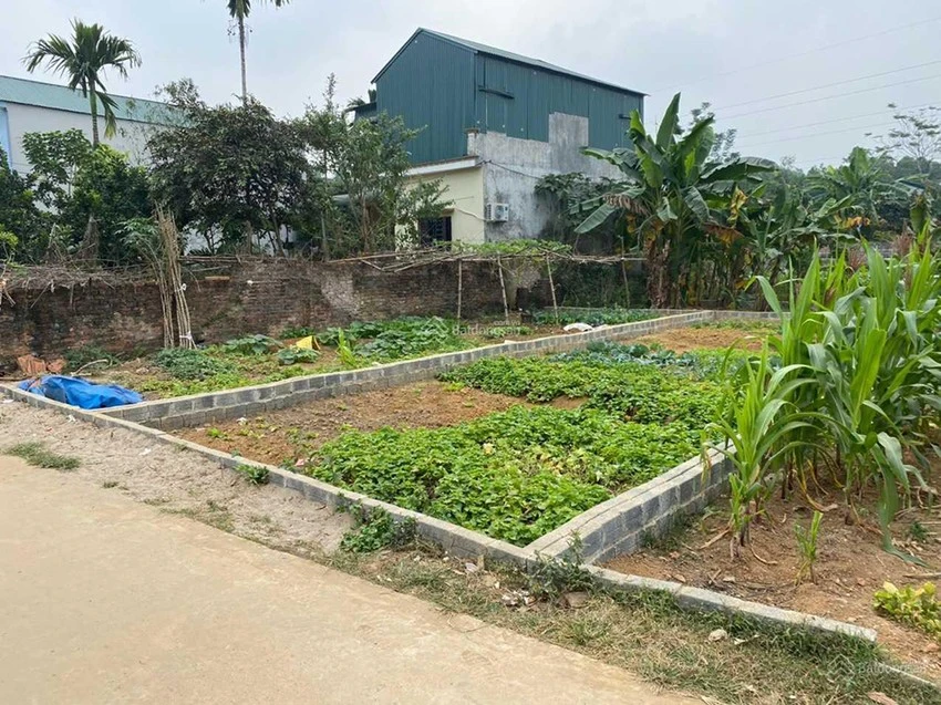 Đất nông nghiệp tại khu công nghệ cao Hoà Lạc (Thạch Thất) được giao bán với giá hơn 1 tỉ đồng/lô 75m2 Đất nông nghiệp tại khu công nghệ cao Hoà Lạc (Thạch Thất) được giao bán với giá hơn 1 tỉ đồng/lô 75m2