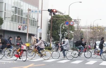 Nhật, Đức: Đi xe đạp luôn được ưu tiên ảnh 1