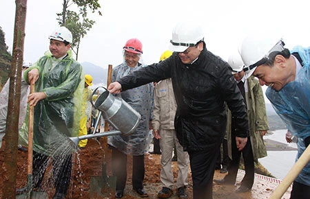 Trồng rừng bảo vệ môi trường thủy điện mới đạt 13% ảnh 1