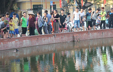 Một phụ nữ chết bất thường trên hồ Triều Khúc ảnh 1