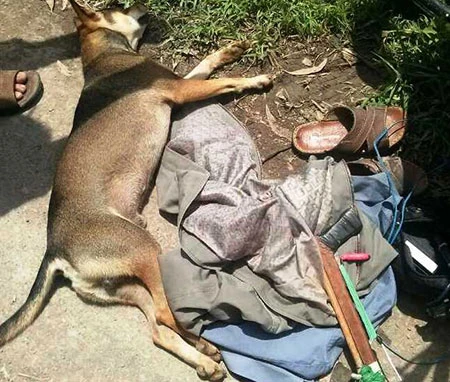 Hai kẻ trộm chó suýt bị dân đánh “hội đồng” ảnh 2 Hai kẻ trộm chó suýt bị dân đánh “hội đồng” ảnh 2