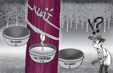 Chờ tới… mùa quýt sang năm! ảnh 1