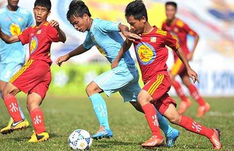 Vườn ươm PVF ảnh 1