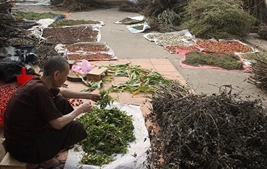 40 năm khám bệnh miễn phí ảnh 2