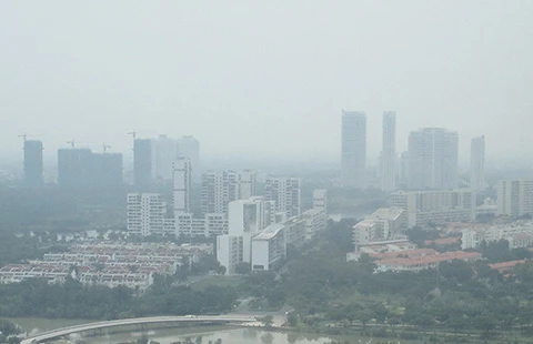 Cháy rừng tại Indonesia: Đe dọa sức khỏe cả khu vực ảnh 3