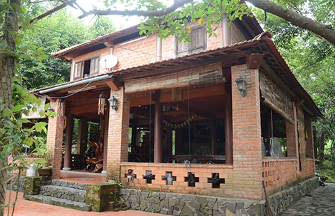 Trang trại trái phép ‘ẩn’ sau biệt phủ đại gia vàng ảnh 2