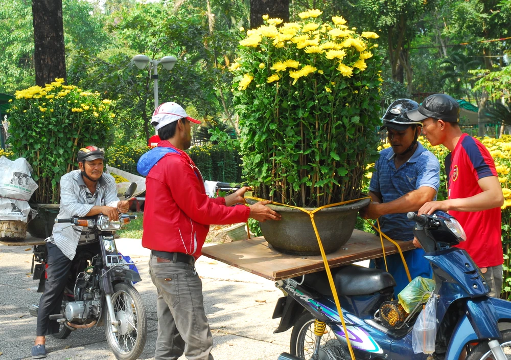 Hoa lan Việt 'hạ gục' hoa lan Thái Lan, Hàn Quốc ảnh 5
