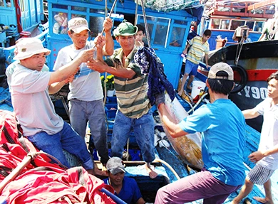 Tết của ngư dân trên biển ảnh 2