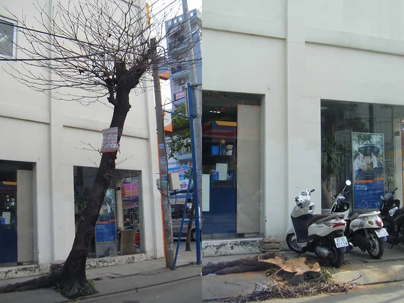 Phản hồi ảnh 1