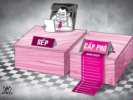 Trị tình trạng ‘loạn cấp phó’ thế nào? - ảnh 1