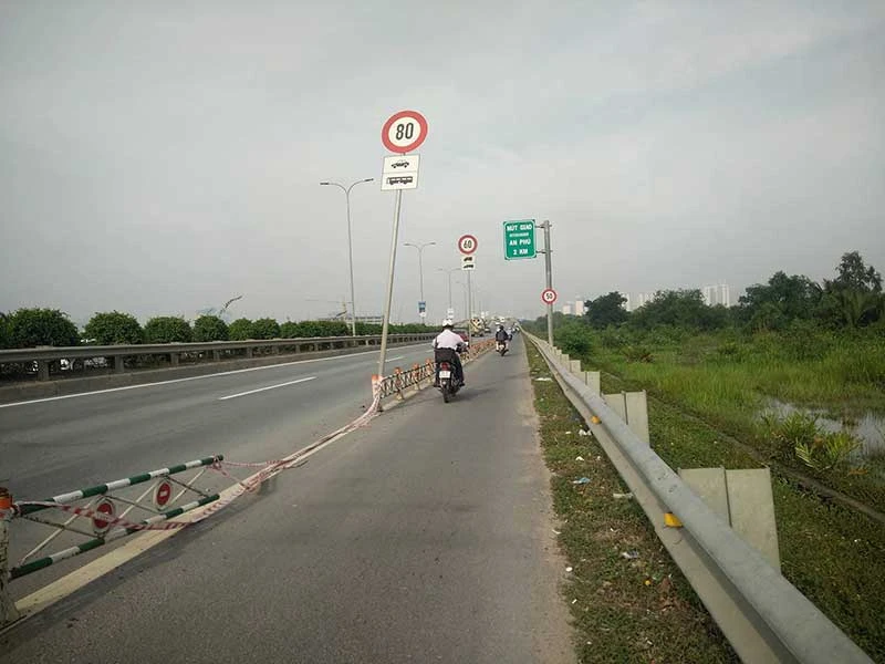 Con lươn đứt khúc ảnh 1