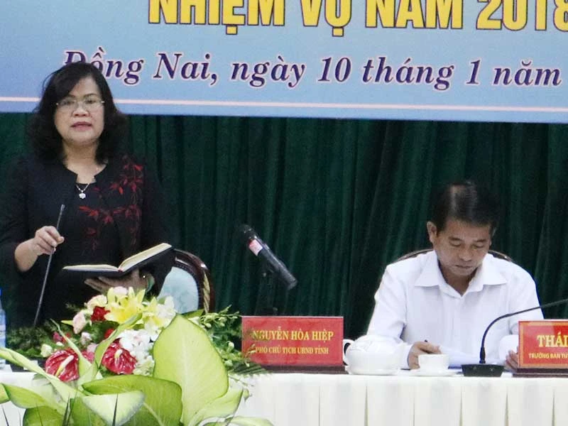 Bà Mỹ Thanh ‘dính’ gì ở dự án của công ty chồng? ảnh 2