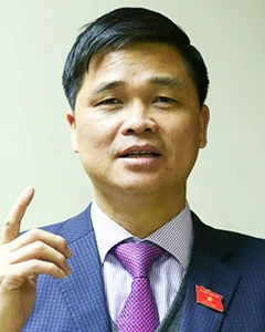 Phải hoàn thiện luật để thúc đẩy phát triển ảnh 3