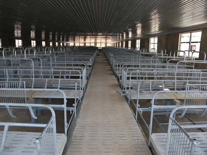 Trại heo khủng đe dọa nguồn nước đầu nguồn TP.HCM ảnh 2 Trại heo khủng đe dọa nguồn nước đầu nguồn TP.HCM ảnh 2