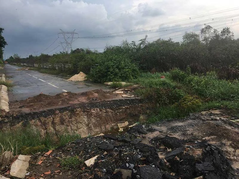 Tết này, bà con chúng tôi vui rồi! ảnh 3