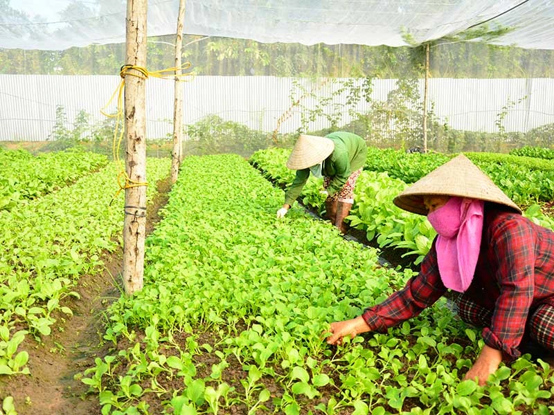 Nữ doanh nhân Phương Thảo: ‘Tôi từng lang thang vì hết tiền’ ảnh 2