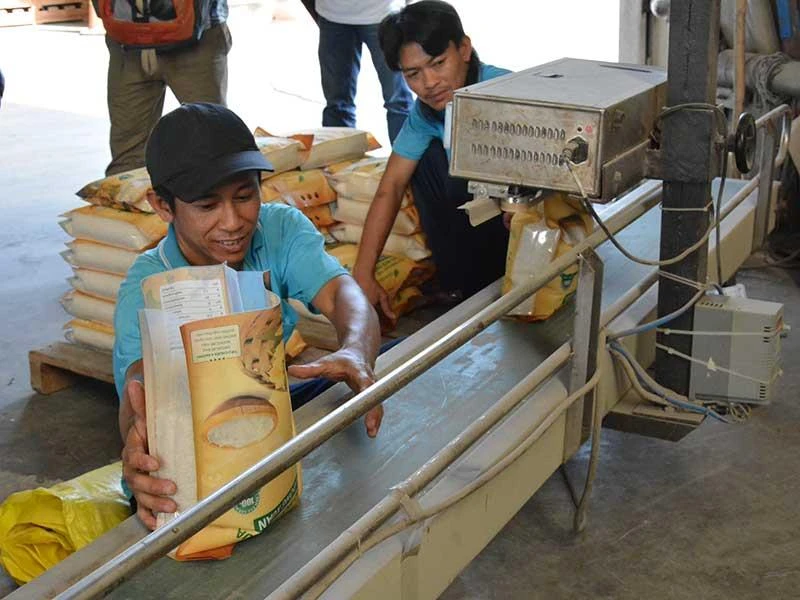 Tổng giám đốc Cỏ May: ‘Đừng mặc cảm mình thua Thái Lan’ ảnh 2