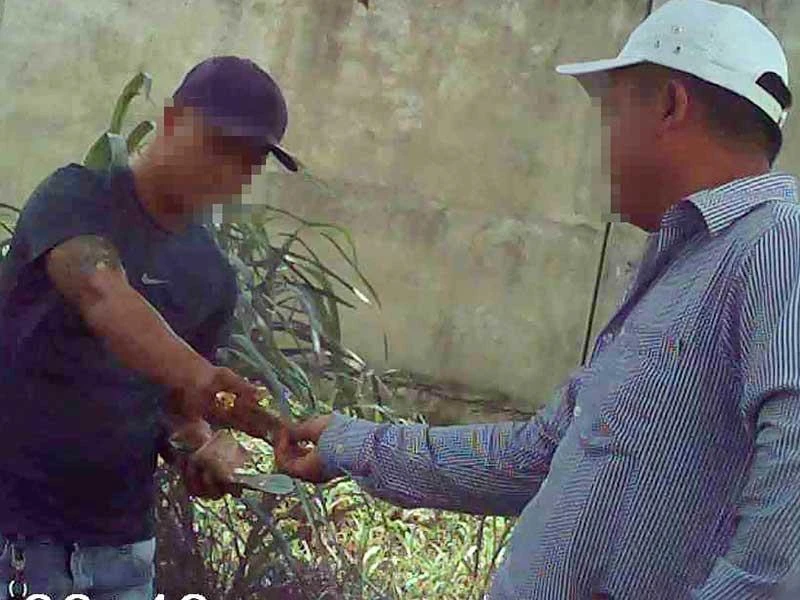 ĐIỀU TRA: Từ đá gà qua mạng đến trường gà thật ảnh 4