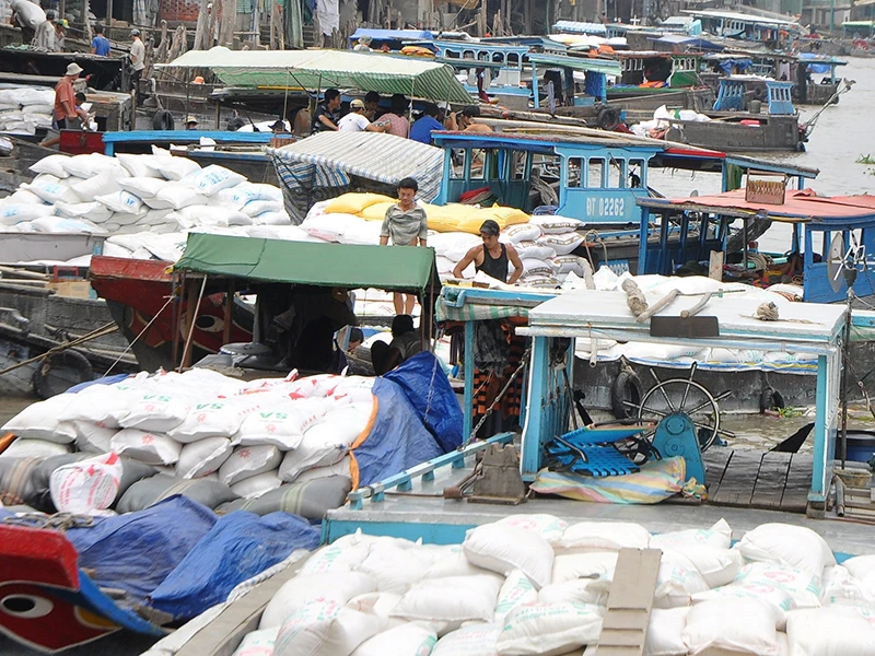 Xuất khẩu gạo: Cần công khai, minh bạch, bình đẳng ảnh 2