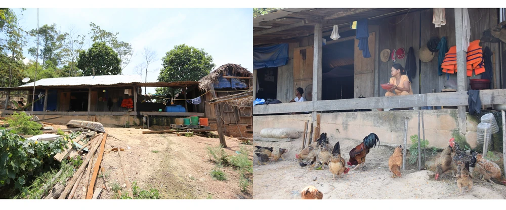 Hai 'dị nhân' 17 năm sống giữa lòng hồ bảo vệ rừng ảnh 1