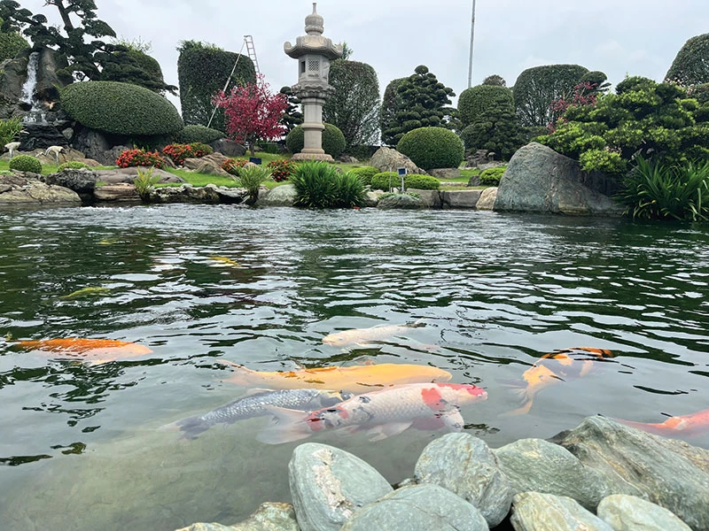 Công viên Cá Koi (huyện Hóc Môn).