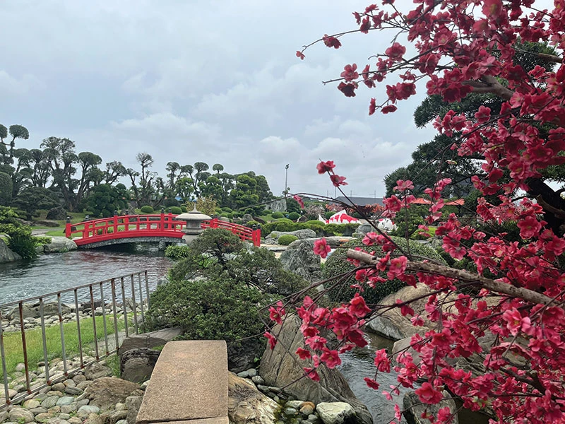 Những điểm nhấn bắt mắt ở Công viên Cá Koi.