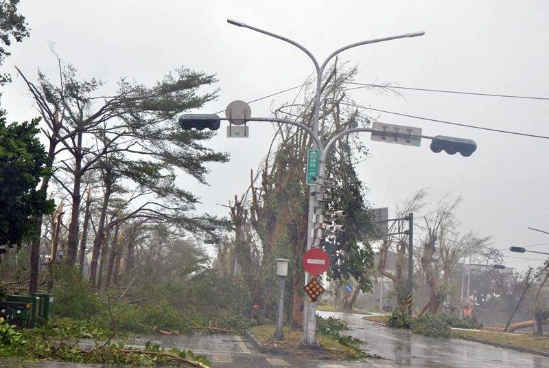 Đài Loan tan hoang vì siêu bão - quái thú 'Nepartak' ảnh 6 Đài Loan tan hoang vì siêu bão - quái thú 'Nepartak' ảnh 6