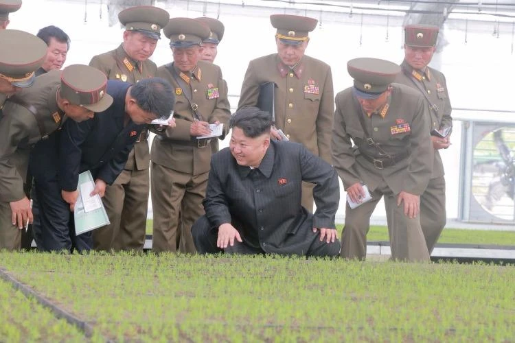 Ông Kim Jong-un và các quan chức đến thăm một trang trại. Ảnh: KCNA