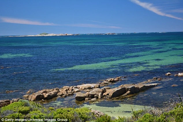 Đứng tim với người thợ lặn tay không hạ gục cá mập trắng