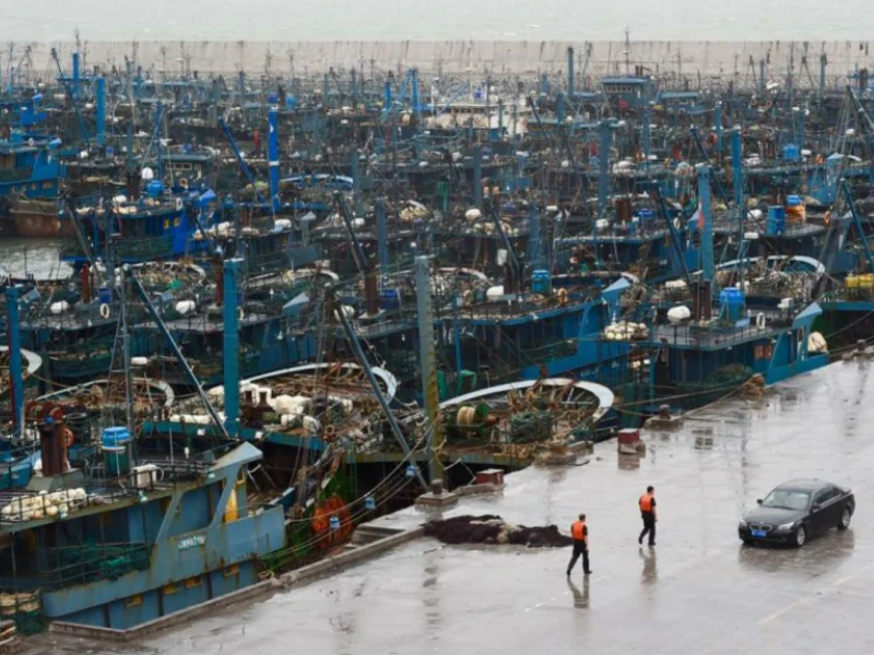 Các tàu cá cập bến tại tỉnh Phúc Kiến để tránh bão. Ảnh: SCMP