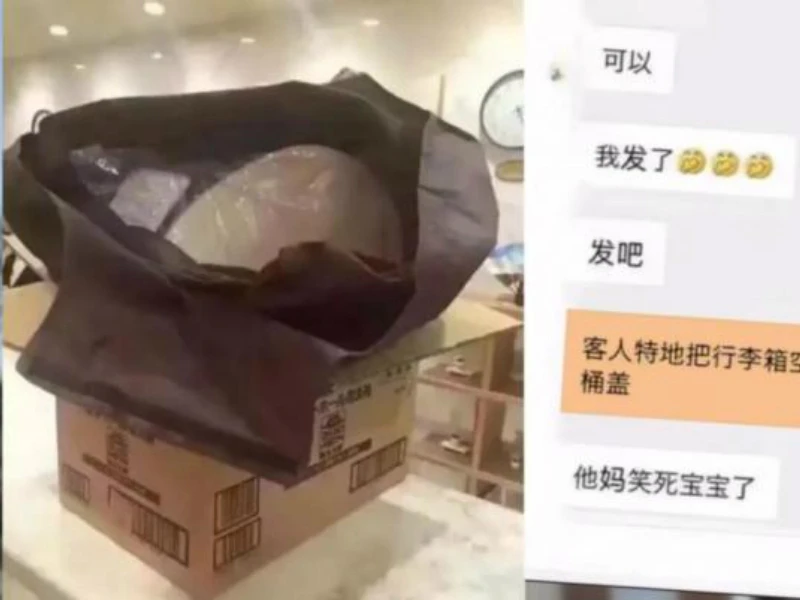 Hình ảnh chiếc nắp bệ xí mà cặp vợ chồng người Trung Quốc lấy cắp nhanh chóng lan truyền trên mạng. Ảnh: UPI